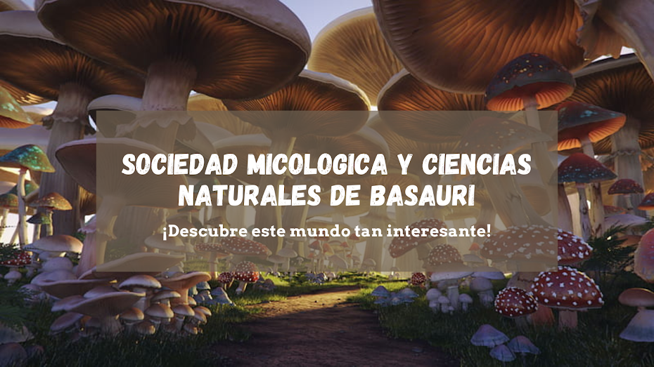 SOCIEDAD MICOLOGICA Y CIENCIAS NATURALES DE BASAURI