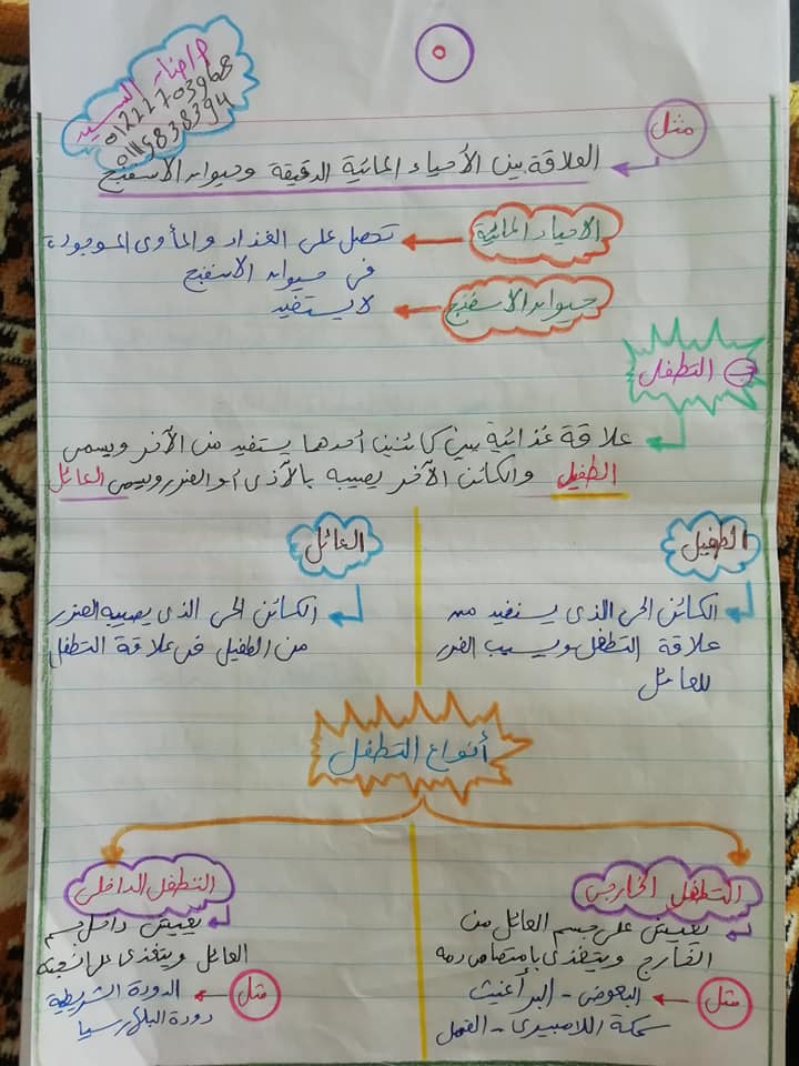 مراجعة العلوم للصف الخامس الإبتدائى الترم الأول 2022 أ/ حنان السيد  AVvXsEgU66doFrxewMuEy55FOSMnhaEHReShMtubgPSdHVtdBefJegT7LFmB9NjV18TBtMAPIZSMIbJuhS5DHFxomueJ0jjyfMHLGbnvvEITvDLlEotn5q97yot58ocIXwDIUqjYmTsI2xZD0XVf4xZxDinTkK2nTDbM4T8yaG7BEJ9lt92E02qohUXjgP0AKQ=s16000