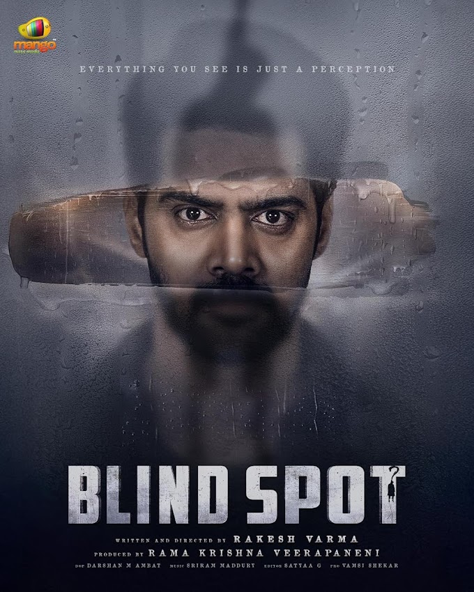 Blind Spot (2025) #Hindi   New South Movie 