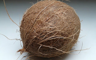 gambar buah kelapa batok