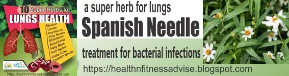 Spanish-needle-for-lungs-healthnfitnessadvise-blogspot-com