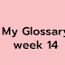 My glossary week 14