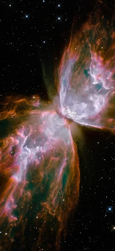 Butterfly emerges from stellar demise in planetary nebula NGC 6302