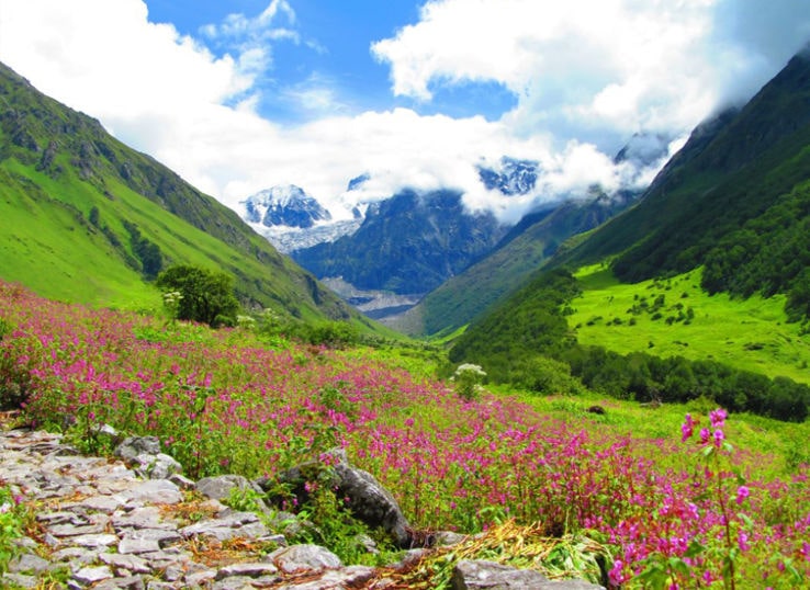 Chamoli (valley of flowers) Tourist Place in Uttarakhand