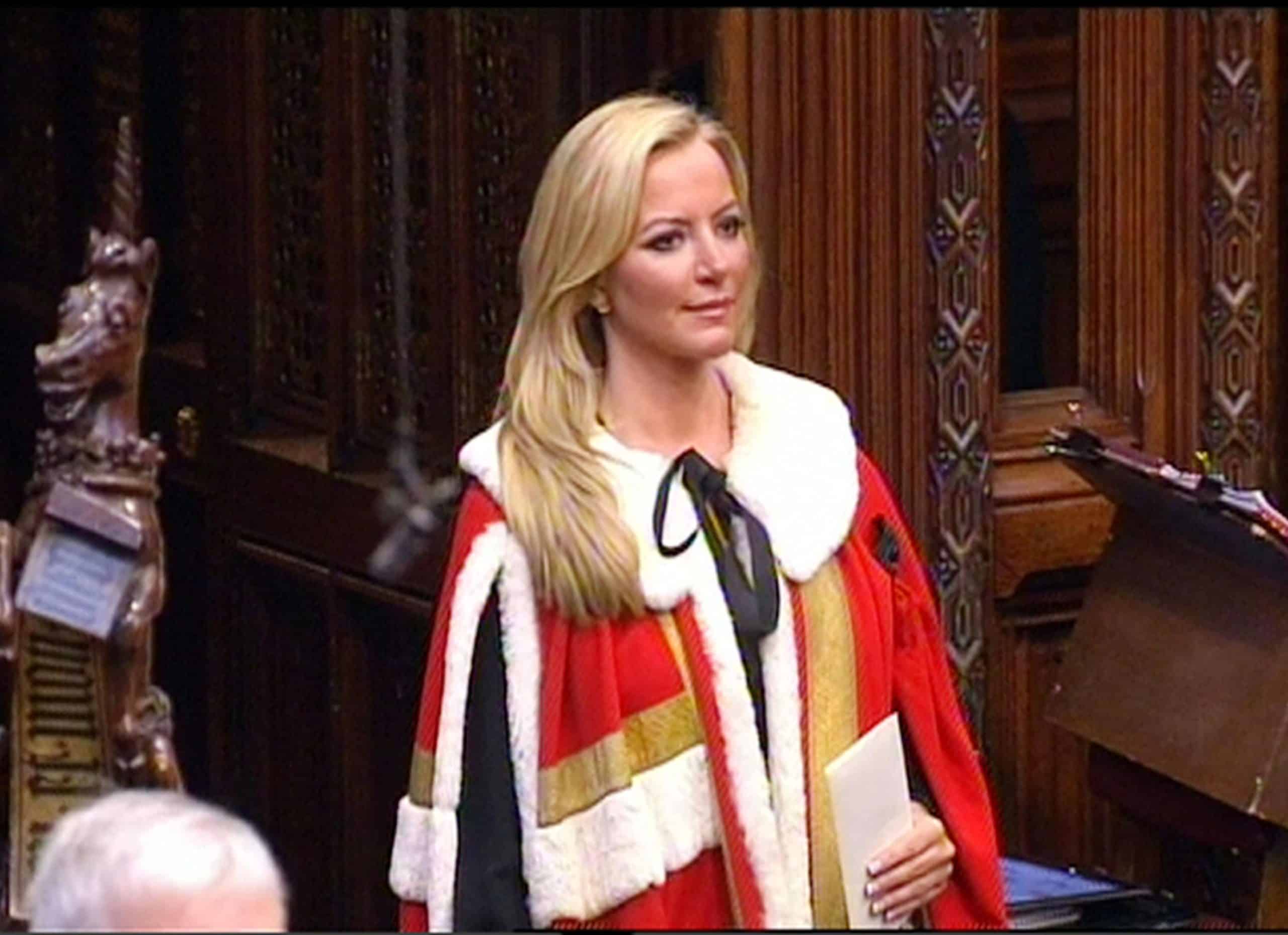 Michelle Mone, A Tory Colleague, Has Been Accused Of Sending A Racist And Nasty Message.