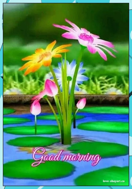 picture of good morning wishes