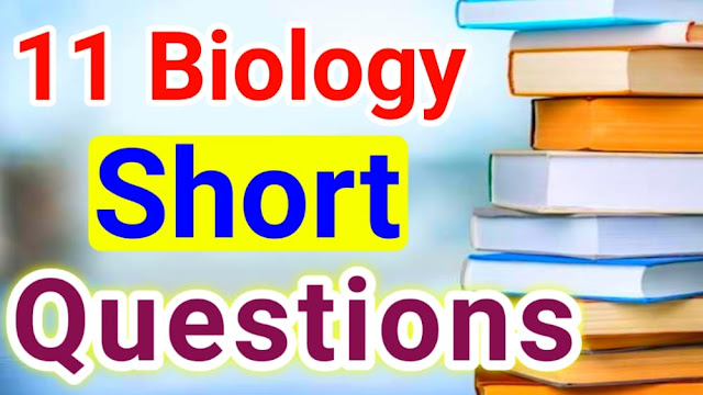 1st year Biology Important Short Questions