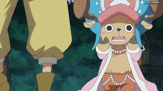 ワンピースアニメ ゾウ編 766話 チョッパー | ONE PIECE Episode 766