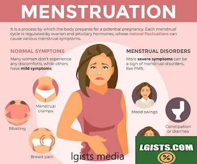 Menstruation And Menstrual Cycles
