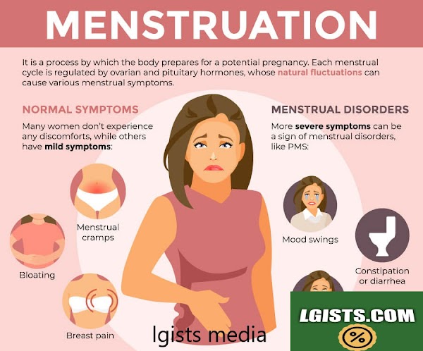 Menstruation And Menstrual Cycles 