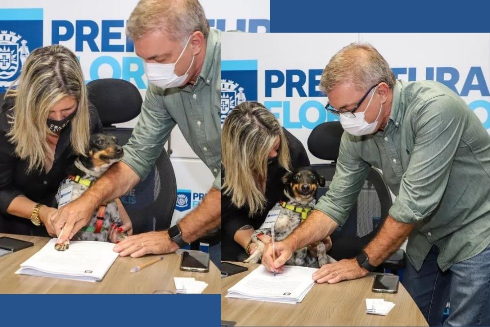 Cachorra ‘assina’ projeto de lei sobre leishmaniose com o prefeito de Florianópolis