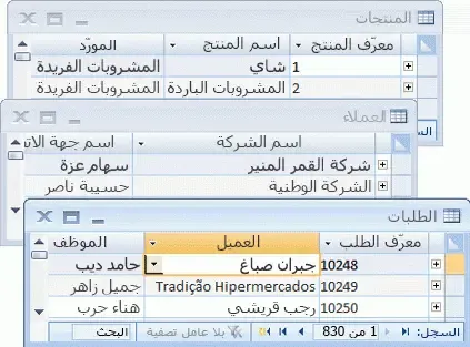 وادي التكنولوجيا | بالعربية: الجدول والسجل والحقل في مايكروسوفت أكسيس