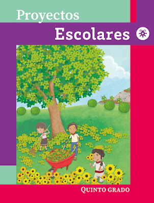 Proyectos Escolares.