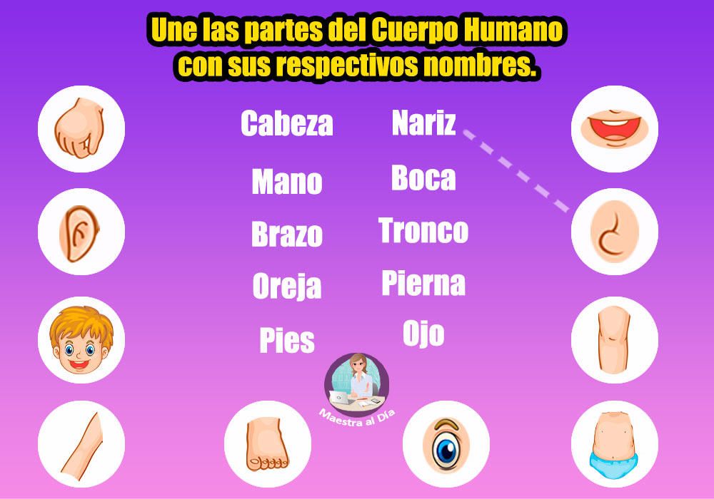 Une las partes del cuerpo con sus respectivos nombres.