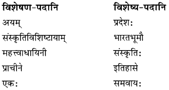 Solutions Class 8 रुचिरा Chapter-9 (सप्तभगिन्यः)