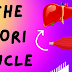 The Cori cycle
