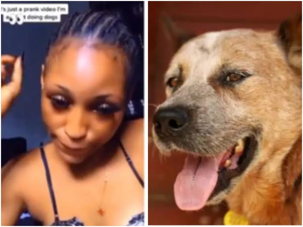 Lady Who Slept With Dog Captured In Viral Video Reportedly Dies Of Infection