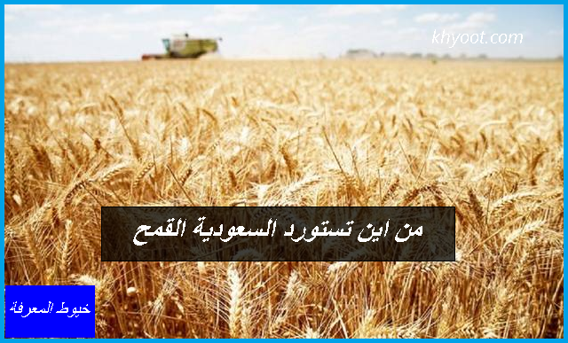 من اين تستورد السعودية القمح
