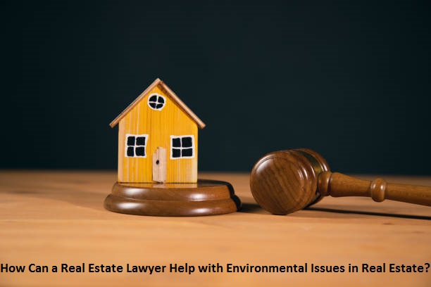 How Can a Real Estate Lawyer Help with Environmental Issues in Real Estate?