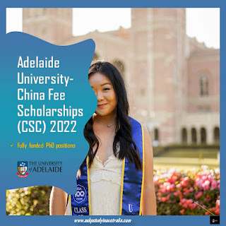 scholarships for Chinese students