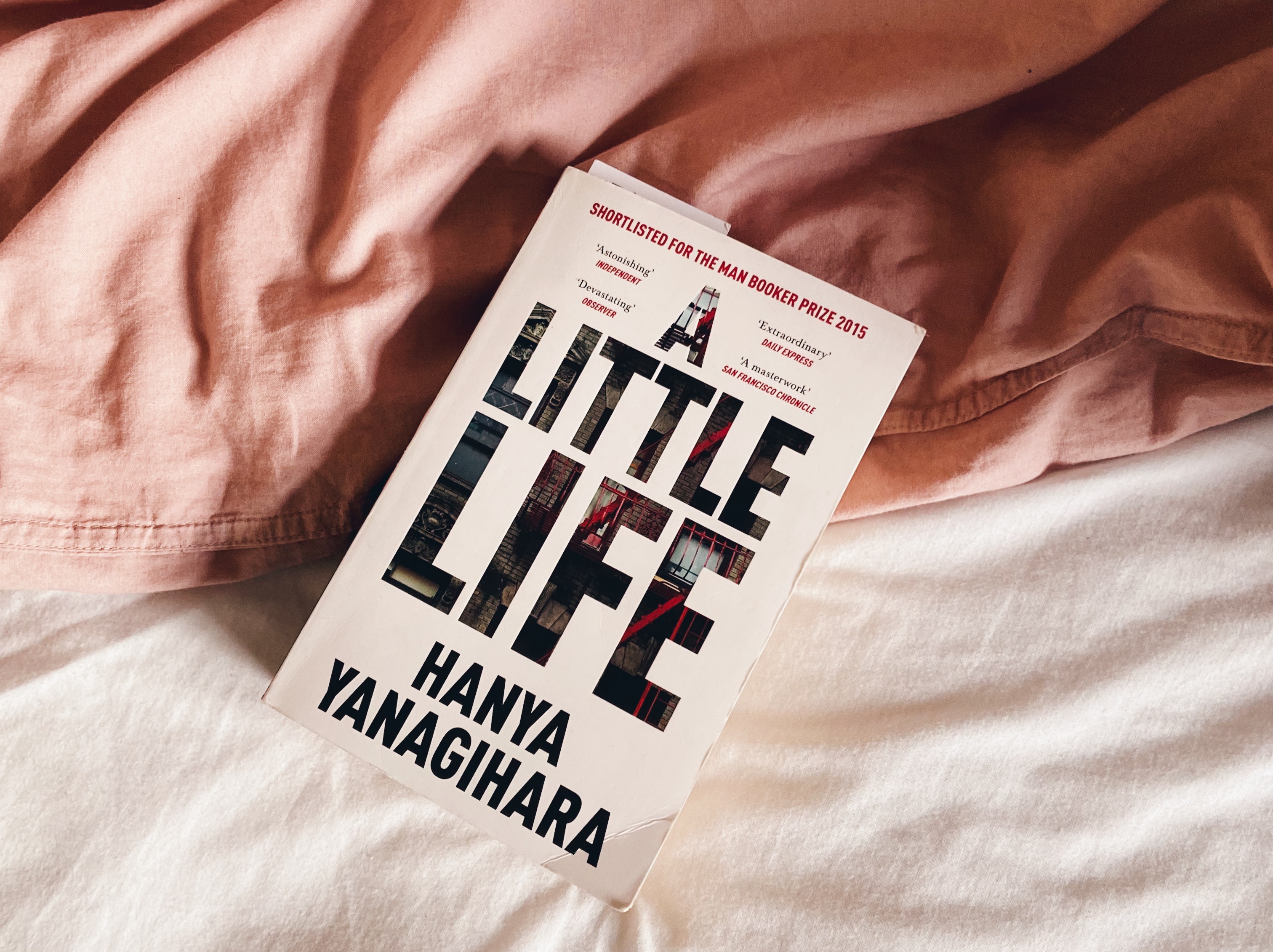 Reading guide: A Little Life by Hanya Yanagihara