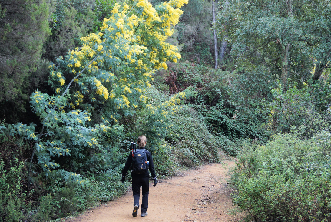 Trail to Auberie Valley