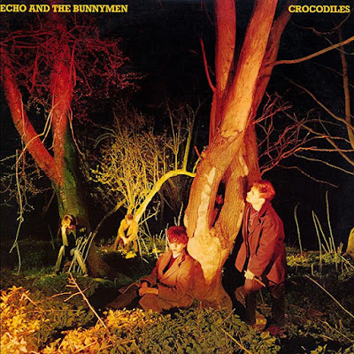 Crítica: Echo and The Bunnymen - Crocodile (1980)