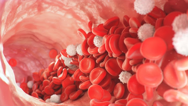 Antiplatelet and Anticoagulant Medication Yield Better Results in COVID-19 Patients