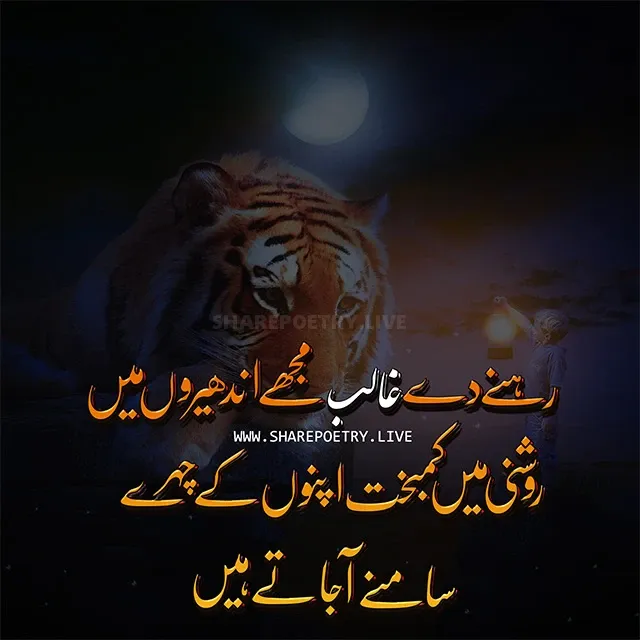 Lion Attitude For Boys-Attitude Poetry Status Images