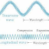 What is Wave Motion?