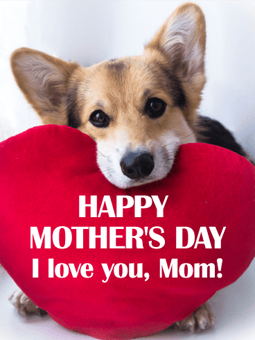 happy-mothers-day-images-for-dog