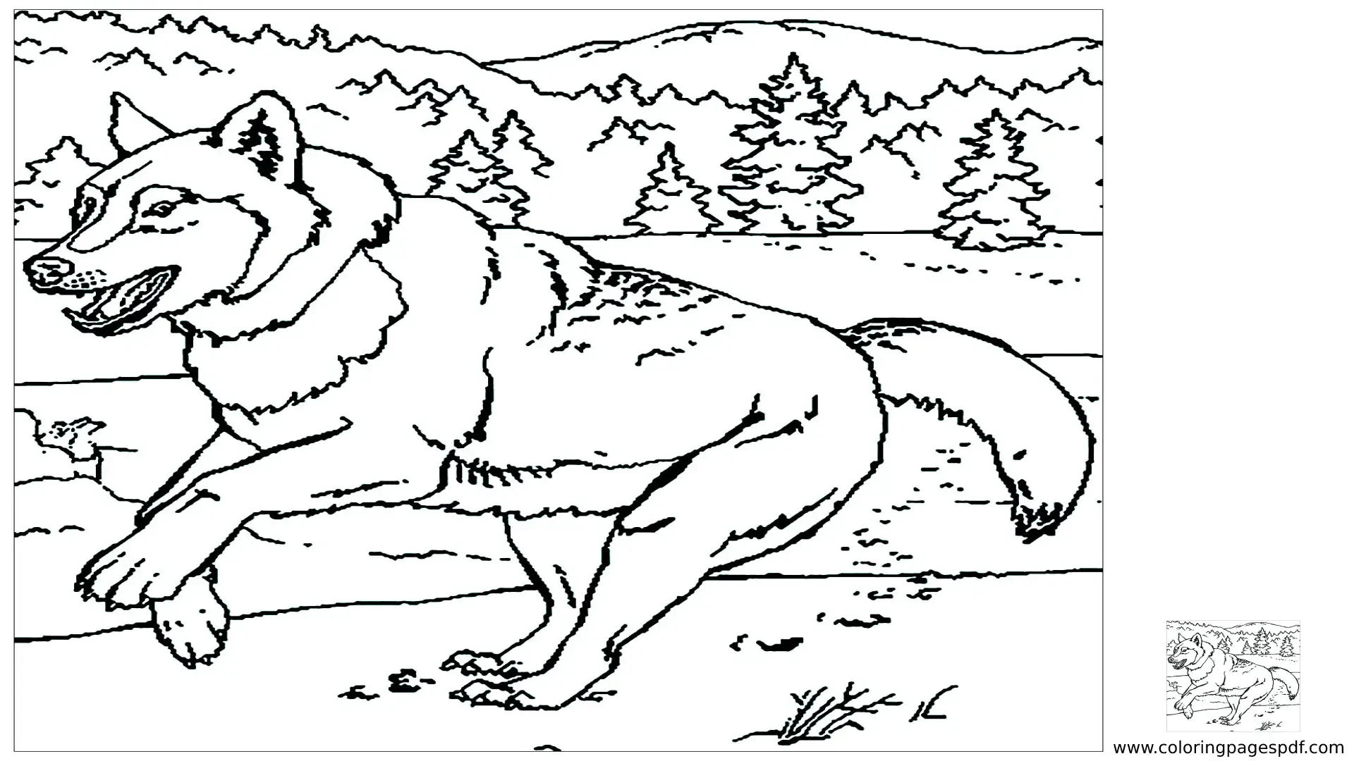 Coloring Pages Of A Running Wolf