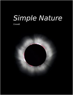 Simple Nature An Introduction to Physics for Engineering and Physical Science Students