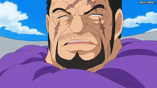 ワンピースアニメ ドレスローザ編 744話 海軍大将 藤虎 イッショウ Fujitora | ONE PIECE Episode 744