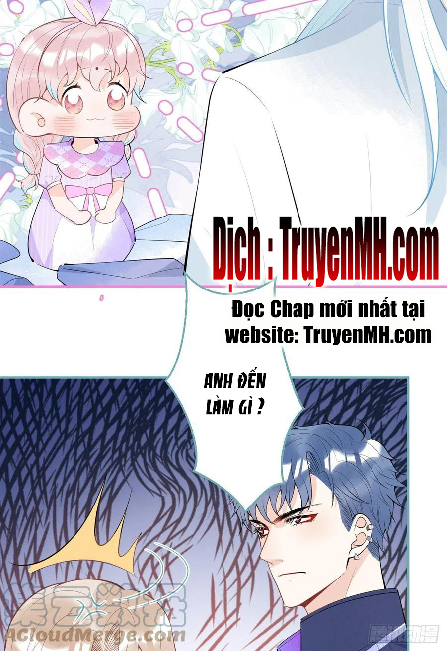 Ta Có Năm Đại Lão Ba Ba Chapter 158 - TC Truyện