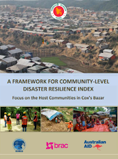 A Framework for Community-level Disaster Resilience Index