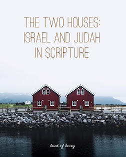 The Two Houses of Israel and Judah