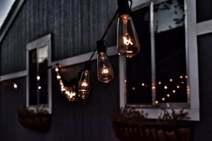 Outdoor Light Options To Transform Your Garden’s Look