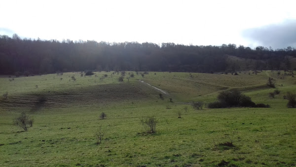 Rainwater running off the hill