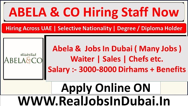 Abela & Co Careers Jobs Vacancies 2024