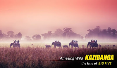 Kaziranga Elephant Safari Package Tour from Guwahati