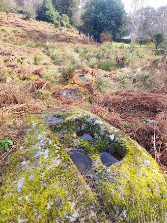 22 Bullaun Stones at Glendalough