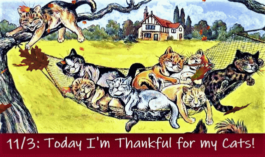 11/3: Today I'm Thankful for my Cats! (November Days of Thanks 2021 by JenExx)