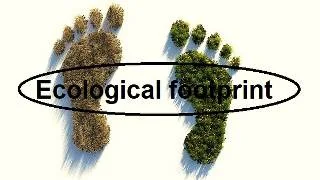 Ecological footprint