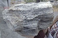 What are Metamorphic Rocks