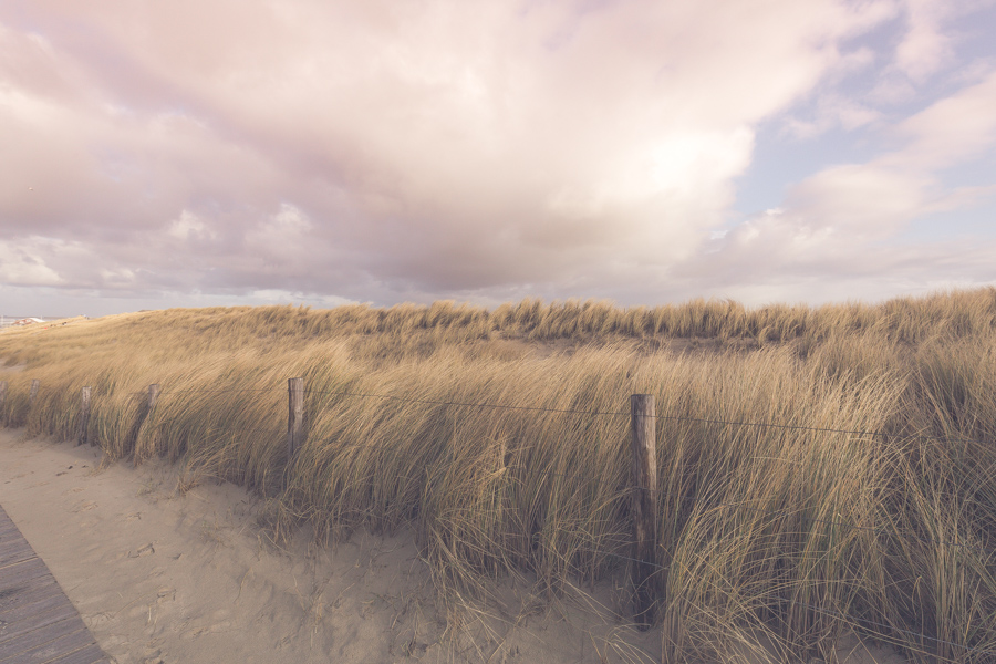 Travel: Petten aan Zee, North Holland