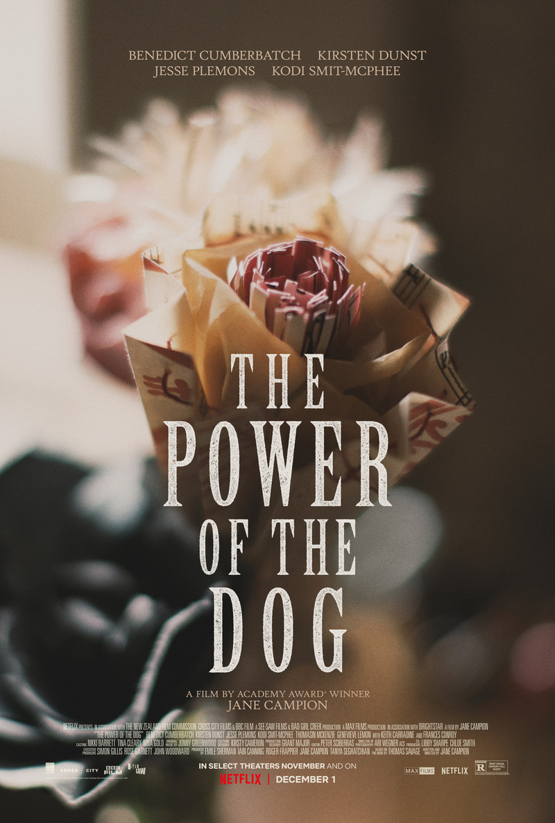 the power of the dog poster