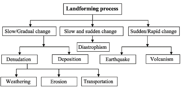 Landforming Process Flowchart