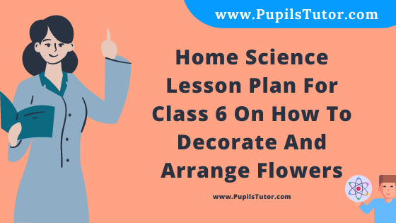 Free Download PDF Of Home Science Lesson Plan For Class 6 On How To Decorate And Arrange Flowers Topic For B.Ed 1st 2nd Year/Sem, DELED, BTC, M.Ed On Mega School Teaching Skill In English. - www.pupilstutor.com