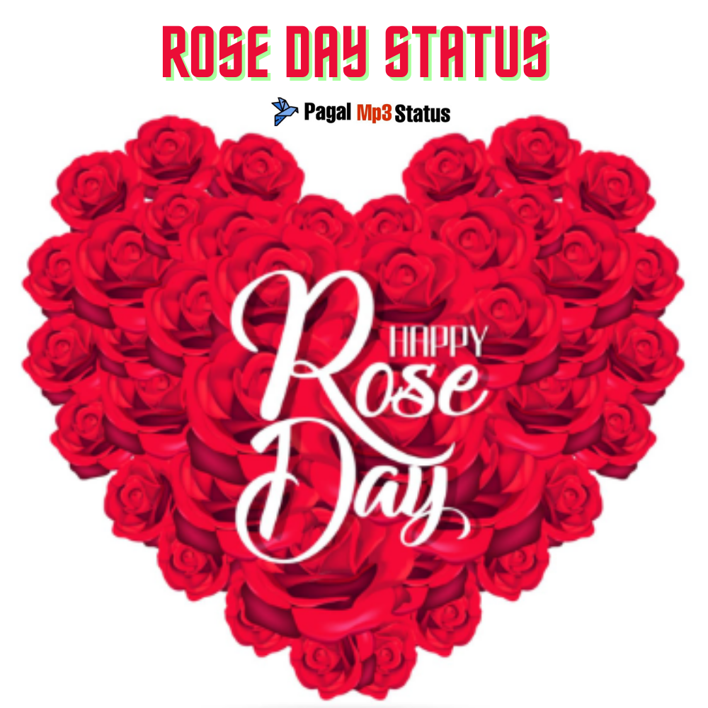 Happy Rose Day Status